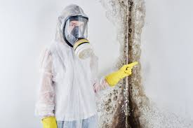 Best Commercial Mold Inspection  in England, AR